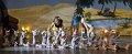 Lionking 0140